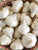 Sample Product 6